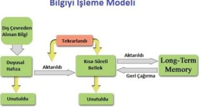 Bilgi Alma ve Veri İşleme Süreçleri