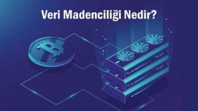 Bilgi Zekası ve Veri Madenciliği